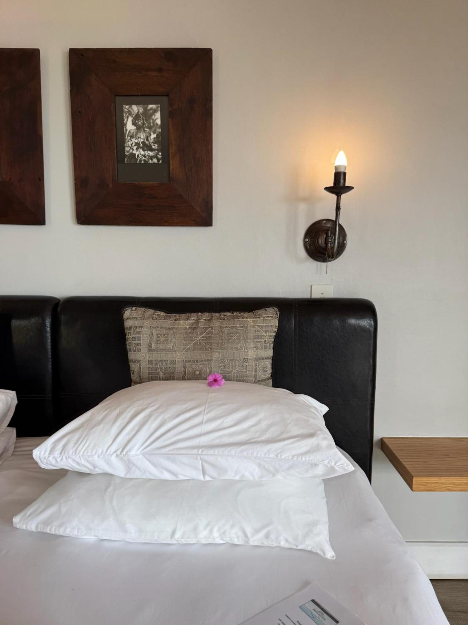 Dolphin Dunes Guesthouse Wildernis Eksteriør billede